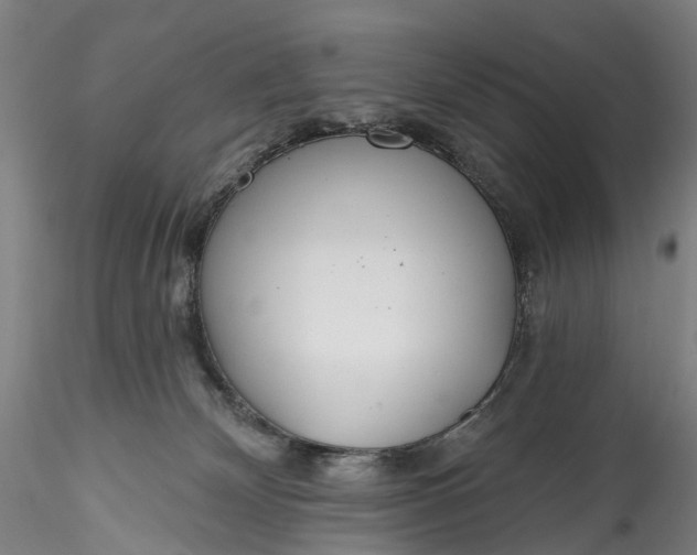 X0000115770132200911271149