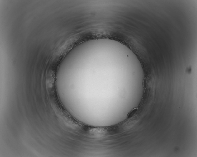 X0000115770133200911271149