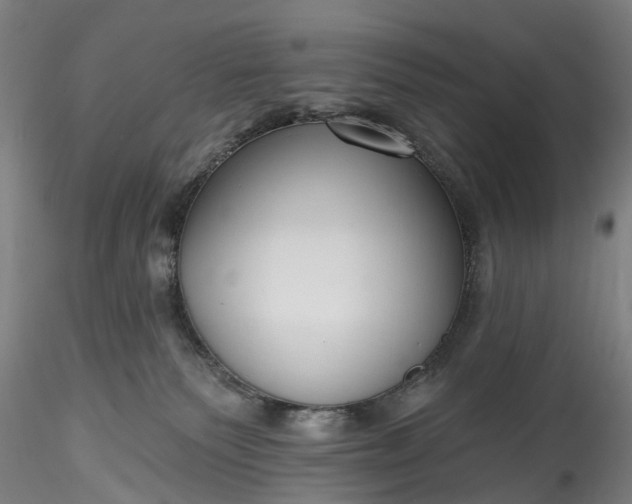 X0000115770135200911271149