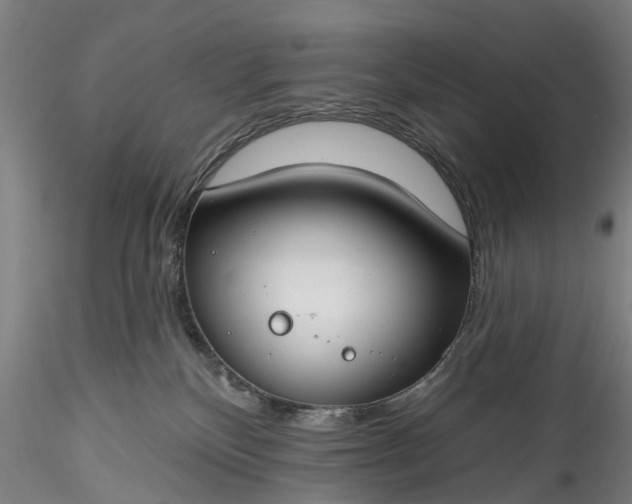 X0000115770136200911271149