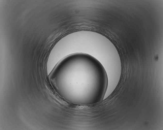 X0000115770137200911271149