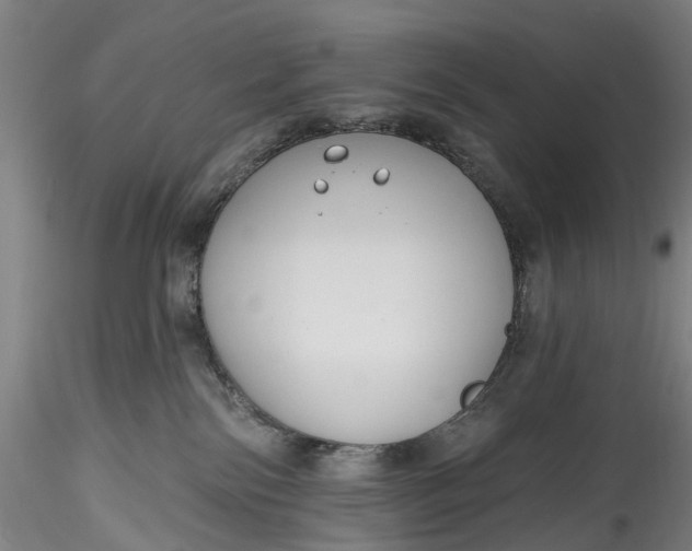 X0000115770138200911271149