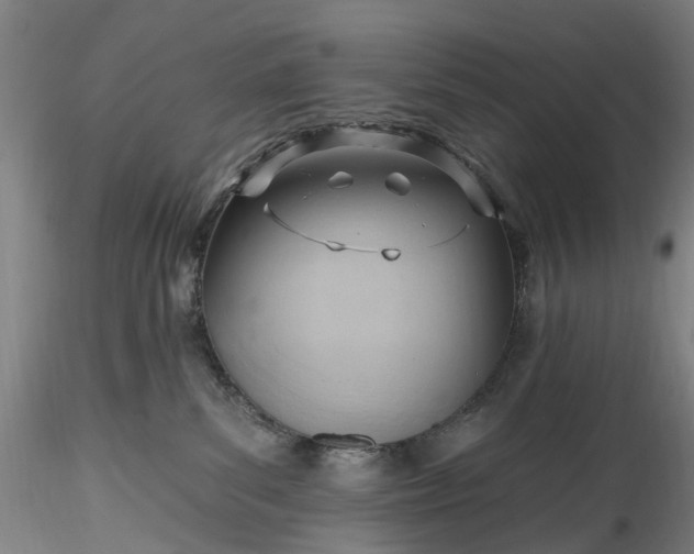 X0000115770139200911271149