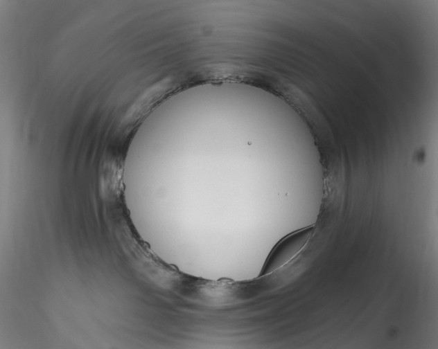 X0000115770142200911271149