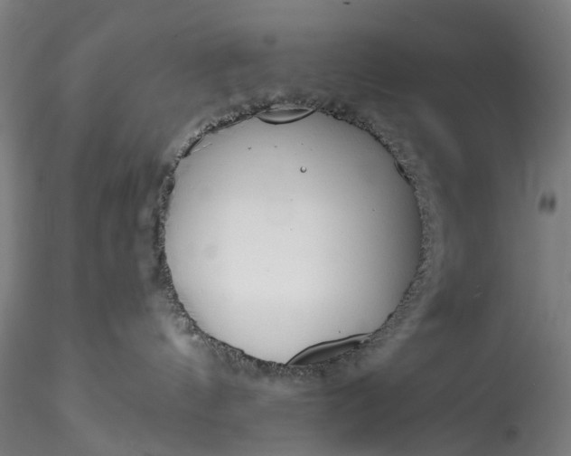 X0000115770144200911271149