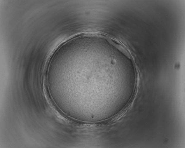 X0000115770145200911271149