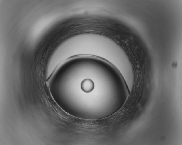 X0000115770146200911271149