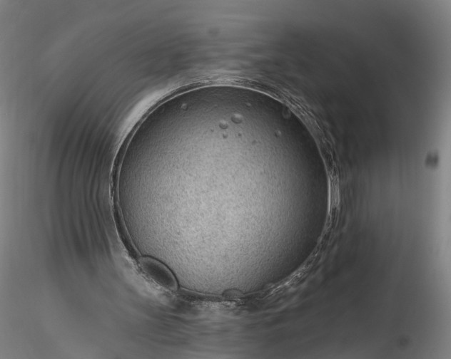 X0000115770147200911271149