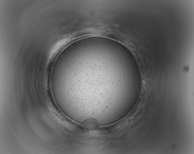 X0000115770149200911271149