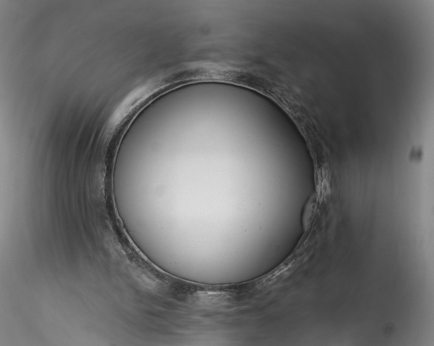 X0000115770150200911271149