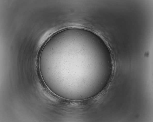 X0000115770151200911271149