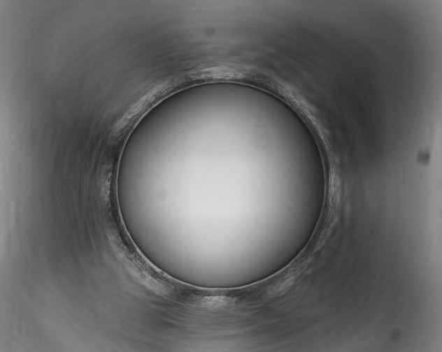 X0000115770153200911271149