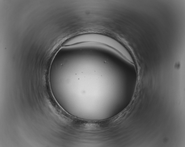 X0000115770154200911271149