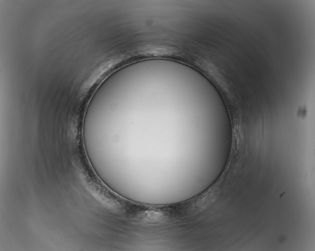 X0000115770159200911271149