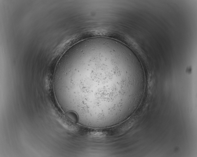 X0000115770161200911271149