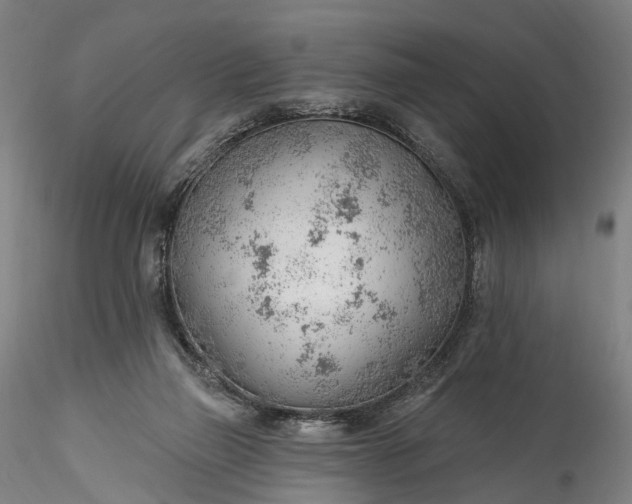 X0000115770165200911271149