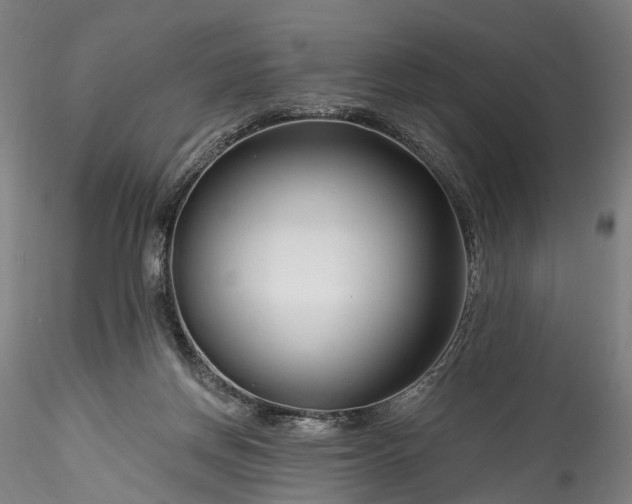 X0000115770166200911271149