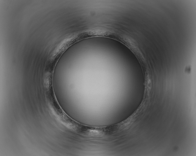 X0000115770167200911271149