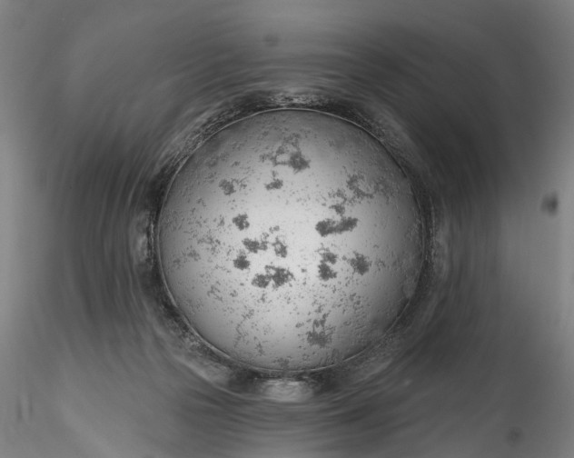 X0000115770169200911271149