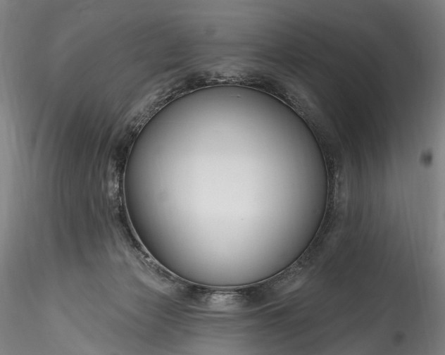 X0000115770173200911271149