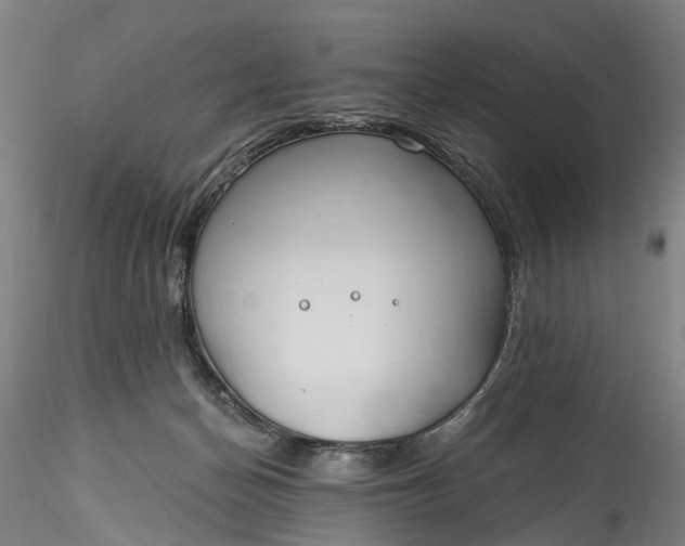 X0000115770174200911271149