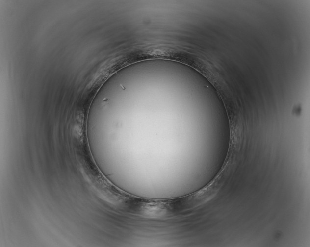 X0000115770175200911271149