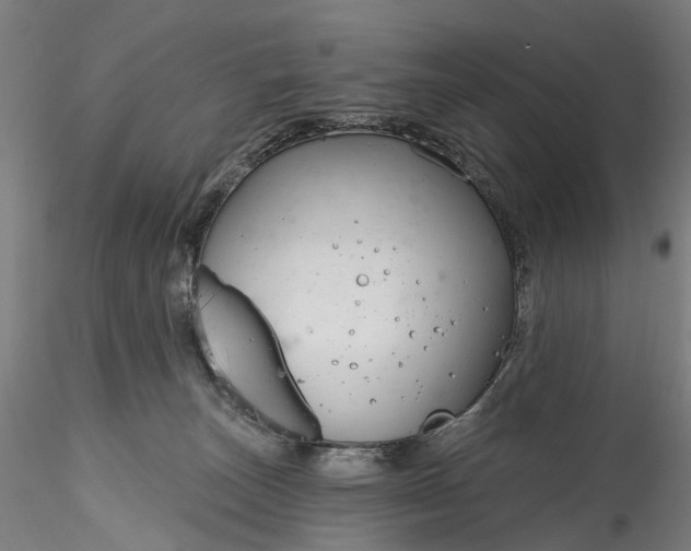 X0000115770179200911271149