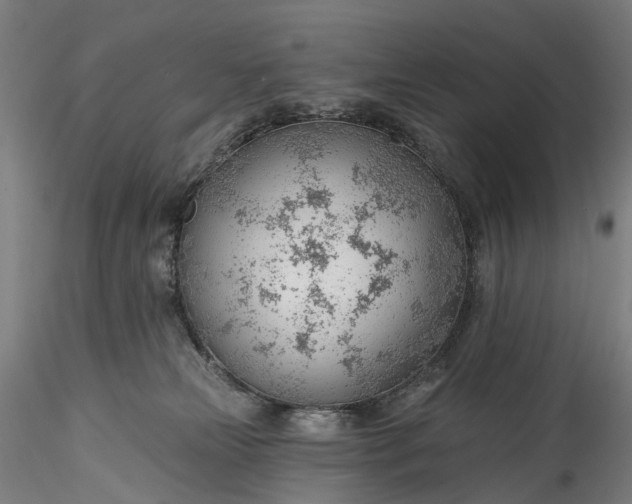 X0000115770181200911271149