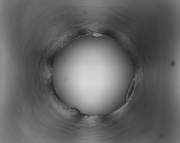 X0000115770186200911271149