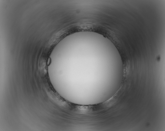 X0000115770187200911271149