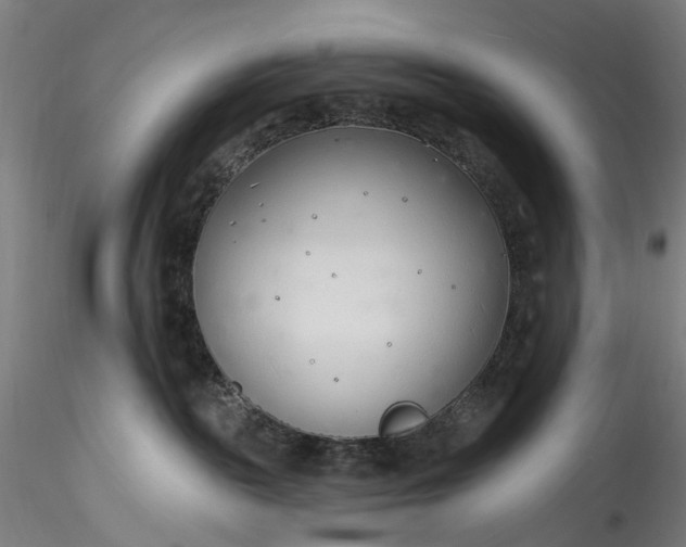 X0000115770189200911271149