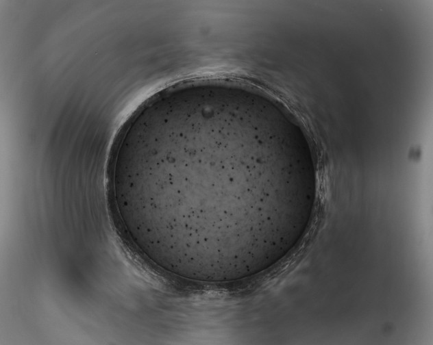 X0000115770196200911271148