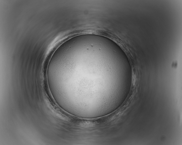 X0000115770198200911271148