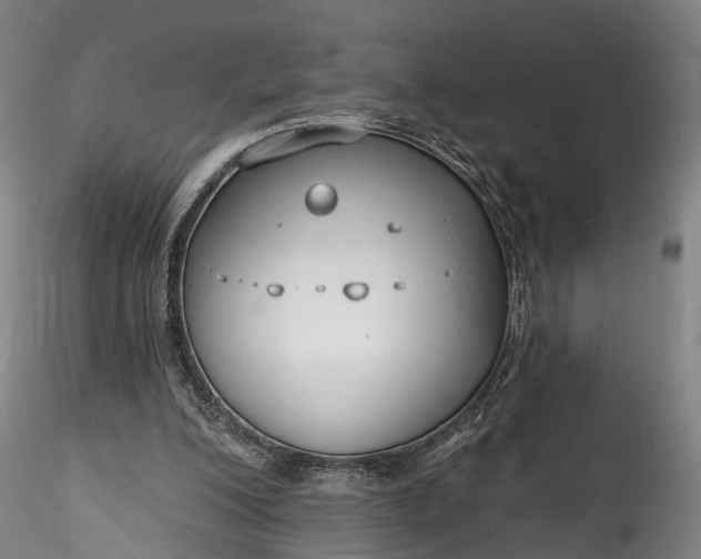 X0000115770200200911271148