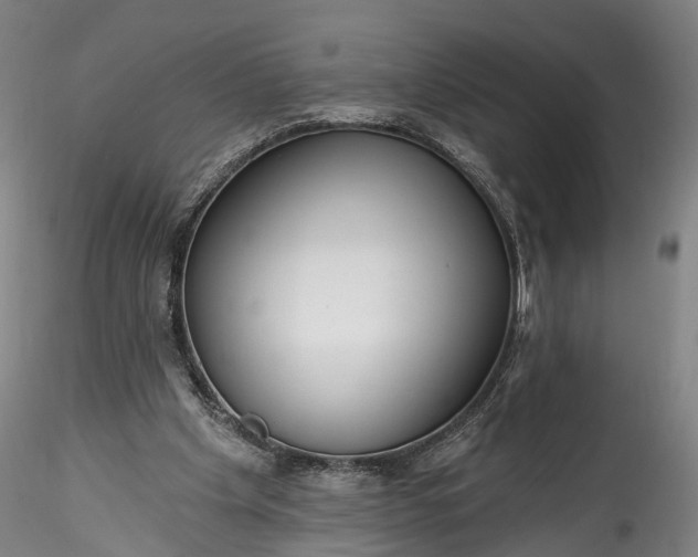 X0000115770201200911271148