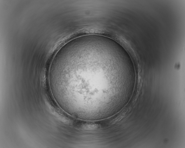 X0000115770202200911271148