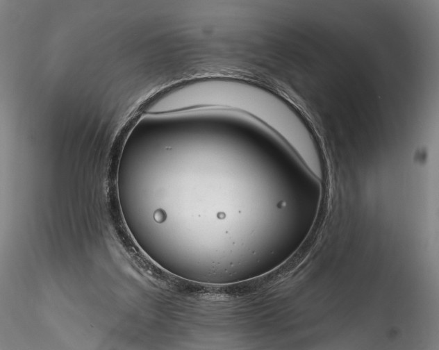 X0000115770203200911271148