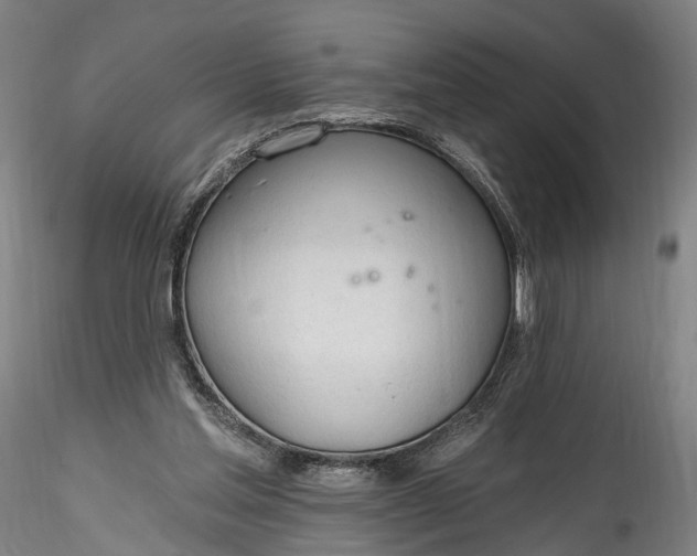 X0000115770205200911271148