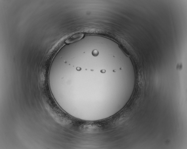 X0000115770208200911271148