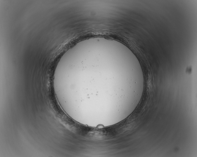 X0000115770211200911271148