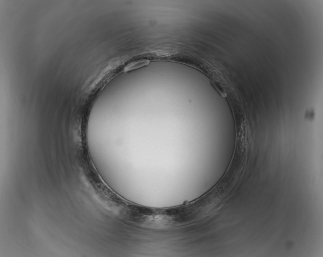 X0000115770212200911271148