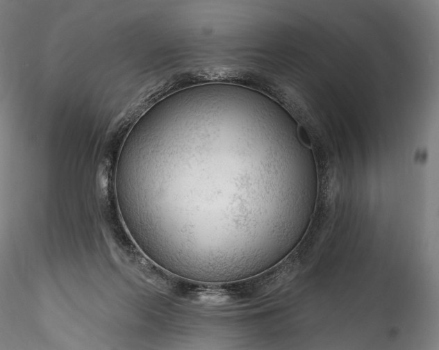 X0000115770214200911271148