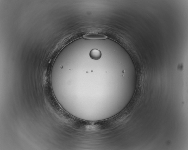 X0000115770216200911271148