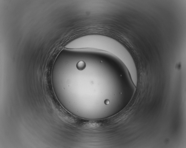 X0000115770217200911271148