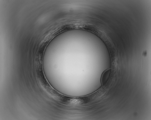 X0000115770218200911271148