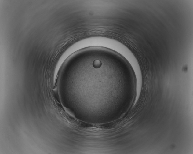 X0000115770219200911271148