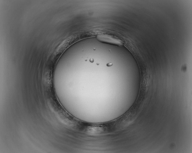 X0000115770220200911271148