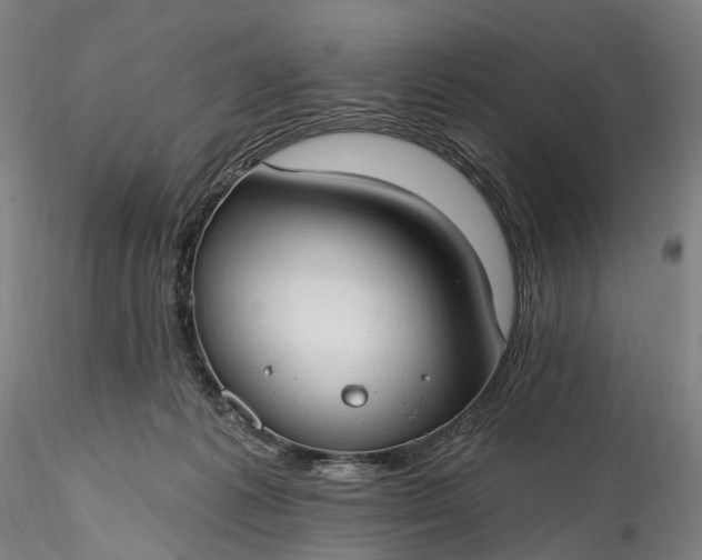 X0000115770221200911271148