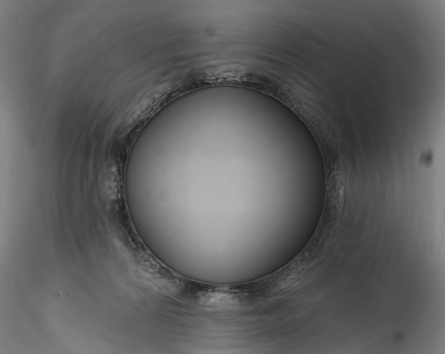 X0000115770224200911271148