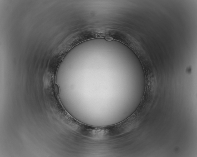 X0000115770225200911271148